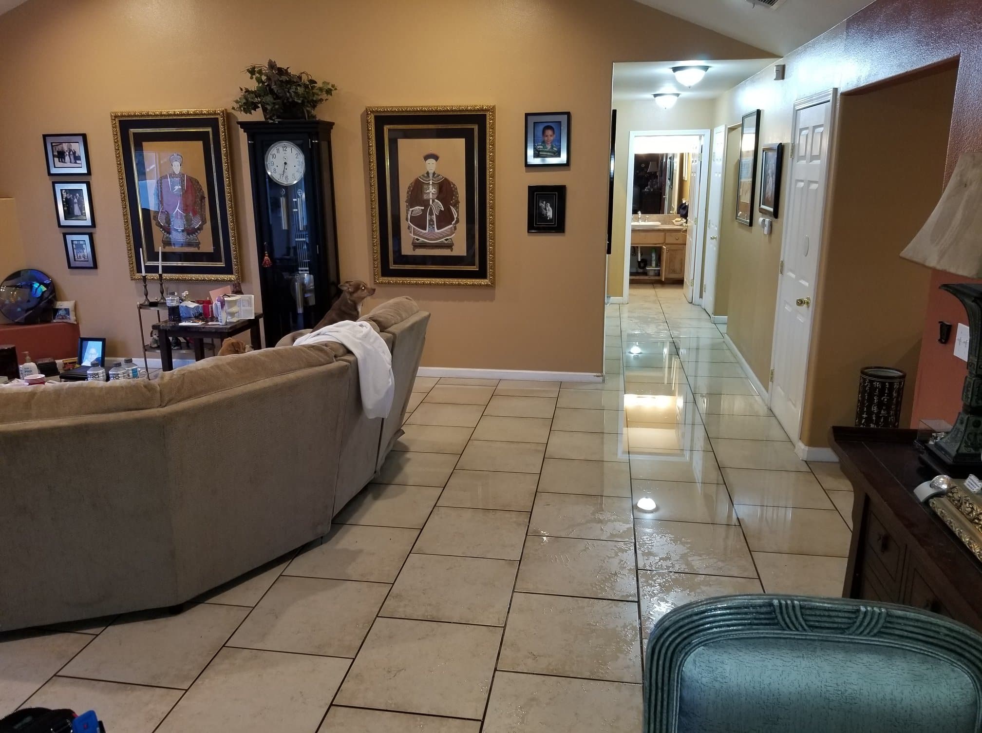 water mitigation